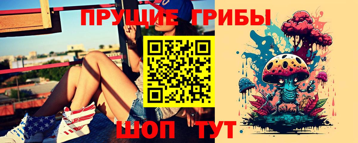 Верхний Уфалей  Галлюциногенные грибы Psilocybe  Вход с VPN  Псилоцибиновые грибы мицелий 