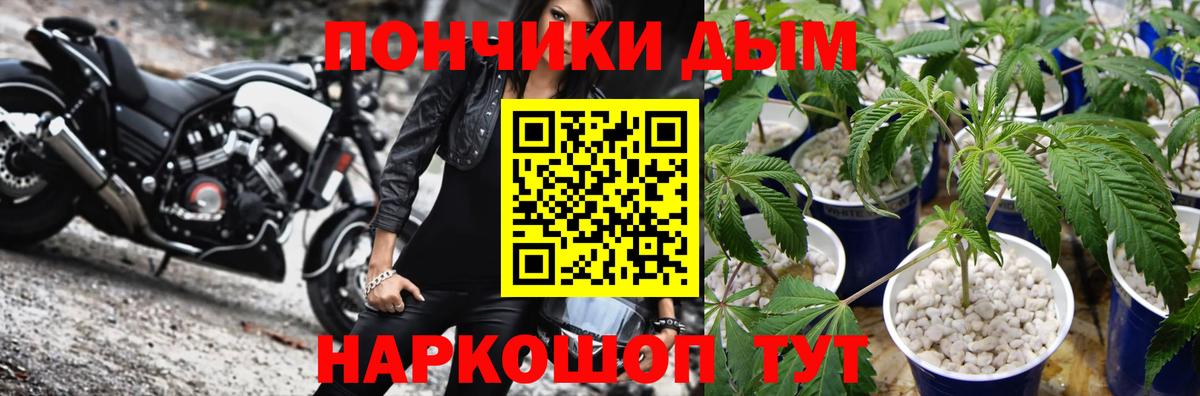 Бошки марихуана Bruce Banner  МАРИХУАНА конопля  Верхний Уфалей  МАРИХУАНА план  Вход с VPN 